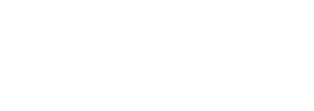 VW Passat B8 Seitenansicht